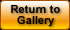 Return to Gallery